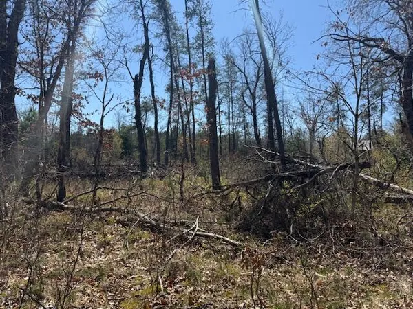 $10,000 | Vl Prarie Road, Idlewild, MI 49642