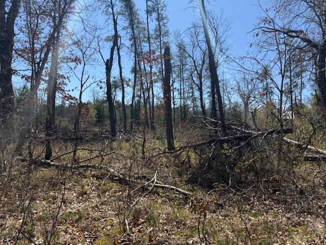 Vl Prarie Road Idlewild, MI 49642 - Photo 6 of 10 IMG_0496