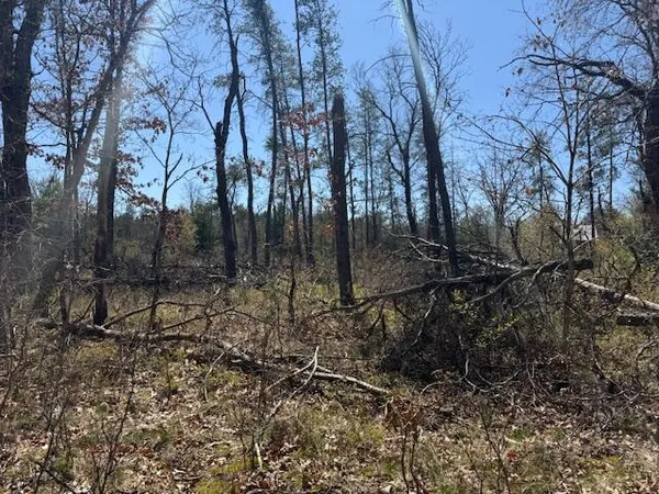 $10,000 | Vl Prarie Road, Idlewild, MI 49642