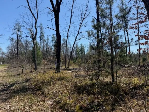 $10,000 | Vl Prarie Road, Idlewild, MI 49642