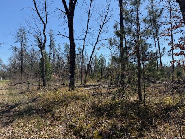 Vl Prarie Road Idlewild, MI 49642 - Photo 8 of 10 IMG_0498