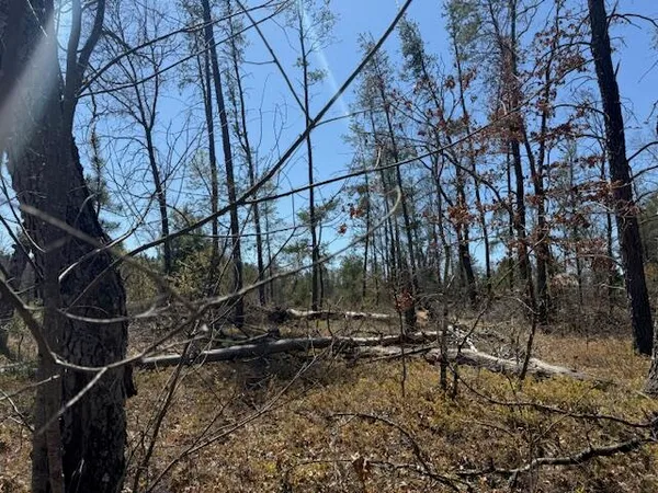 $10,000 | Vl Prarie Road, Idlewild, MI 49642
