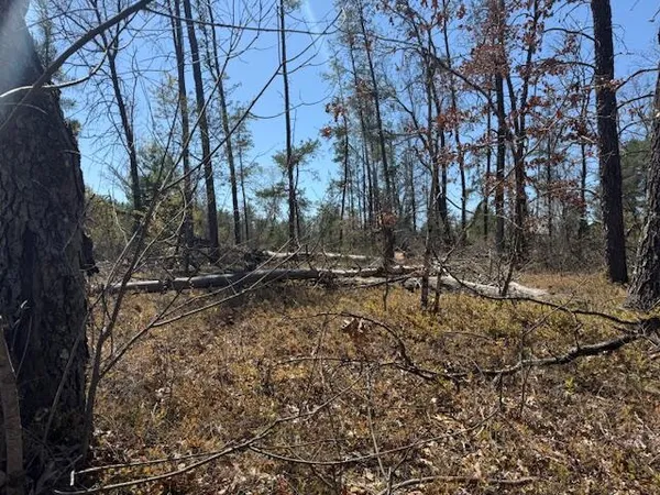 $10,000 | Vl Prarie Road, Idlewild, MI 49642