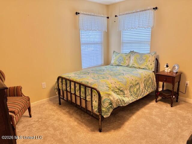 1009 Gerrits Landing Brandon, MS 39047 - Photo 15 of 18 IMG_7086