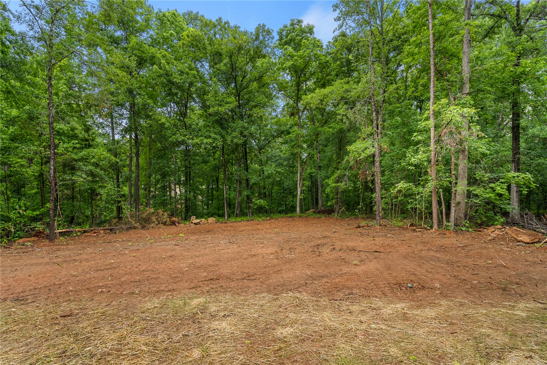 419 Austin Drive Anderson, SC 29624 - Photo 32 of 36 This spacious, cleared lot is ready for your vision, surrounded by lush trees for privacy and natural beauty.
