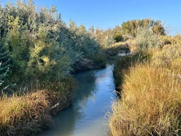 $400,000 | 32 Emblem Wy, Powell, WY 82435