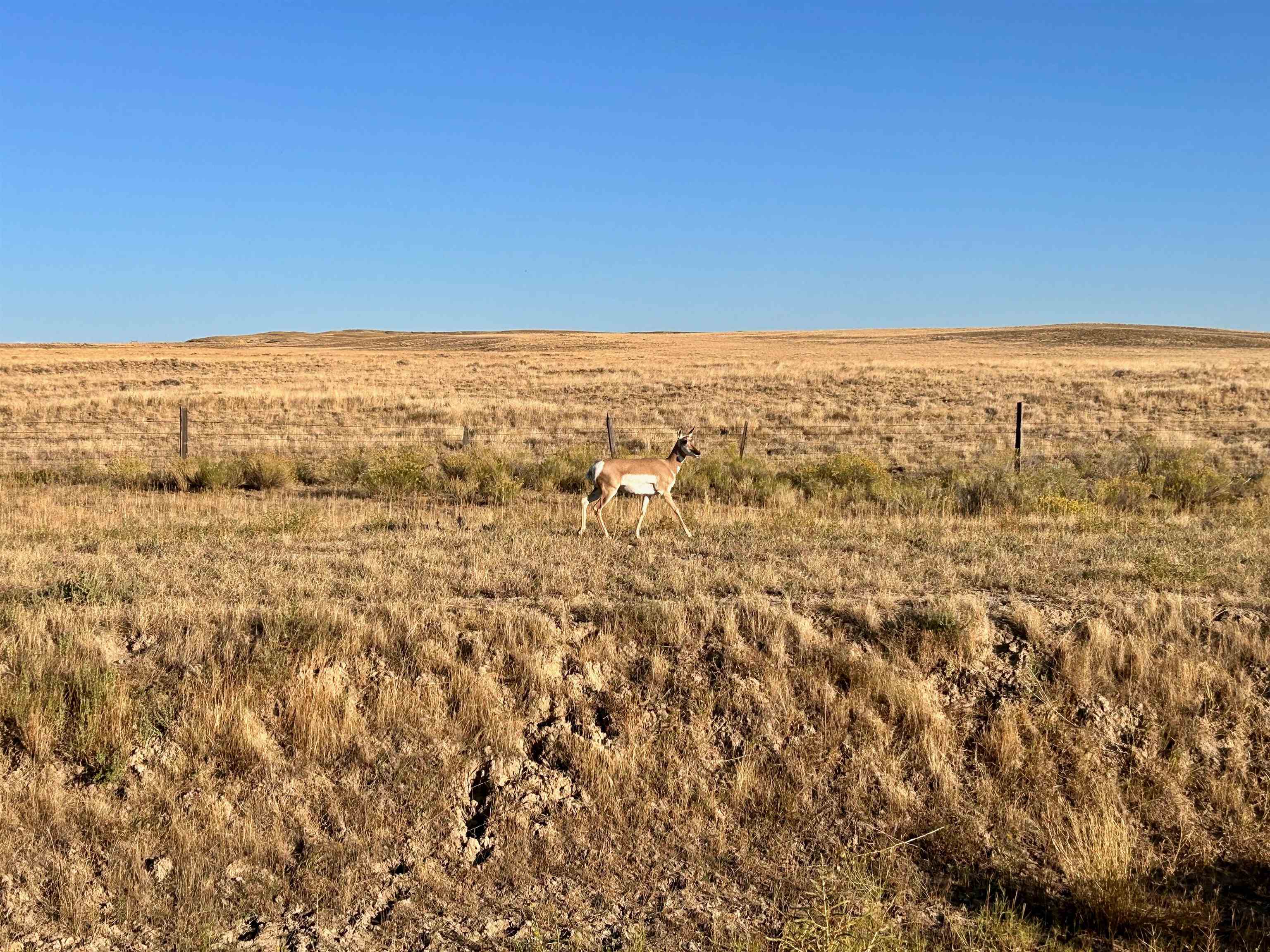 32 Emblem Wy Powell, WY 82435 - Photo 14 of 50