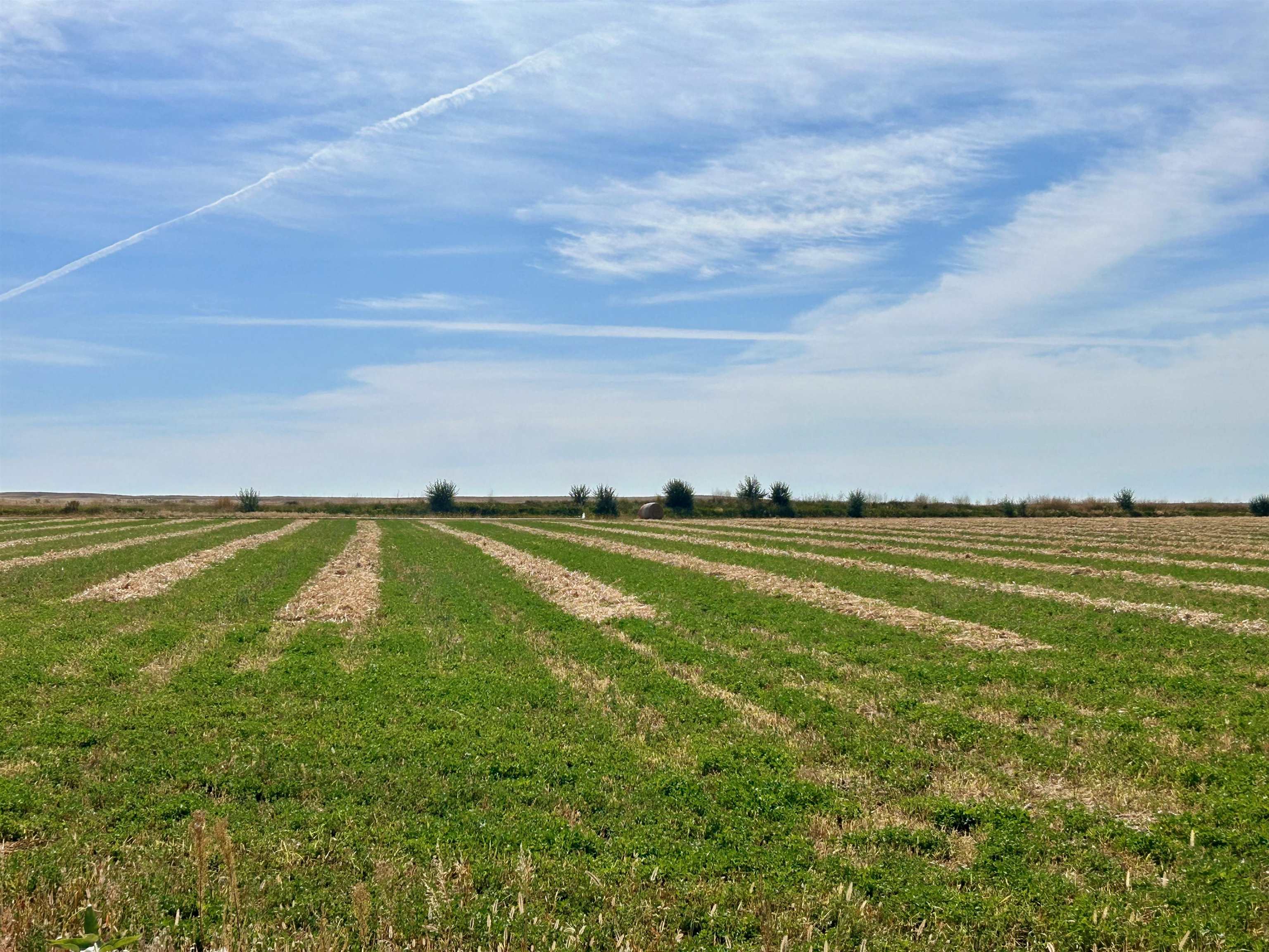 32 Emblem Wy Powell, WY 82435 - Photo 22 of 50
