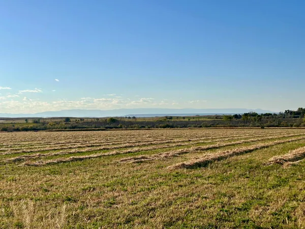 $400,000 | 32 Emblem Wy, Powell, WY 82435