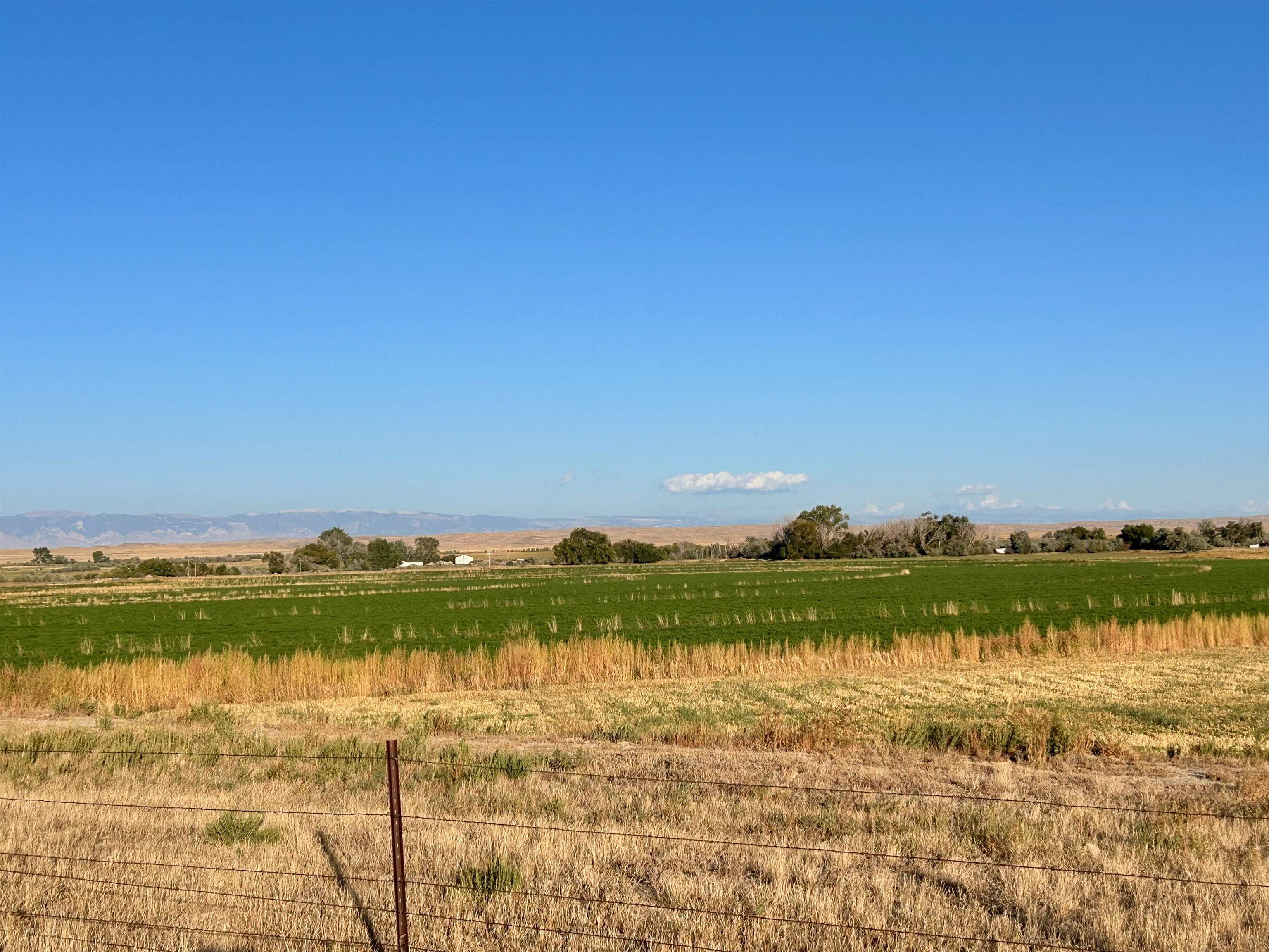 32 Emblem Wy Powell, WY 82435 - Photo 7 of 50