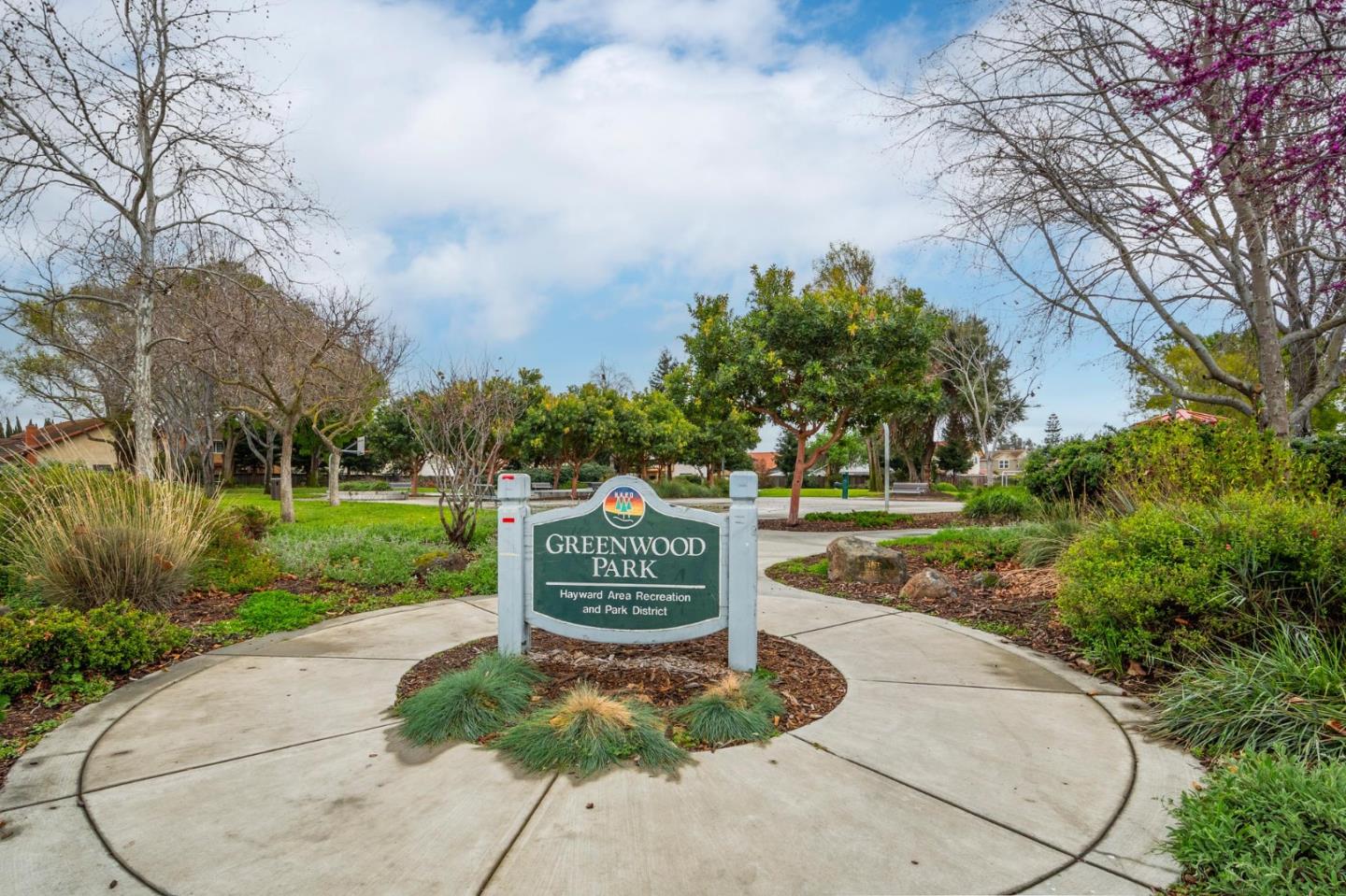 24252 Nora Circle Hayward, CA 94545 - Photo 43 of 51 a view of a park with large trees