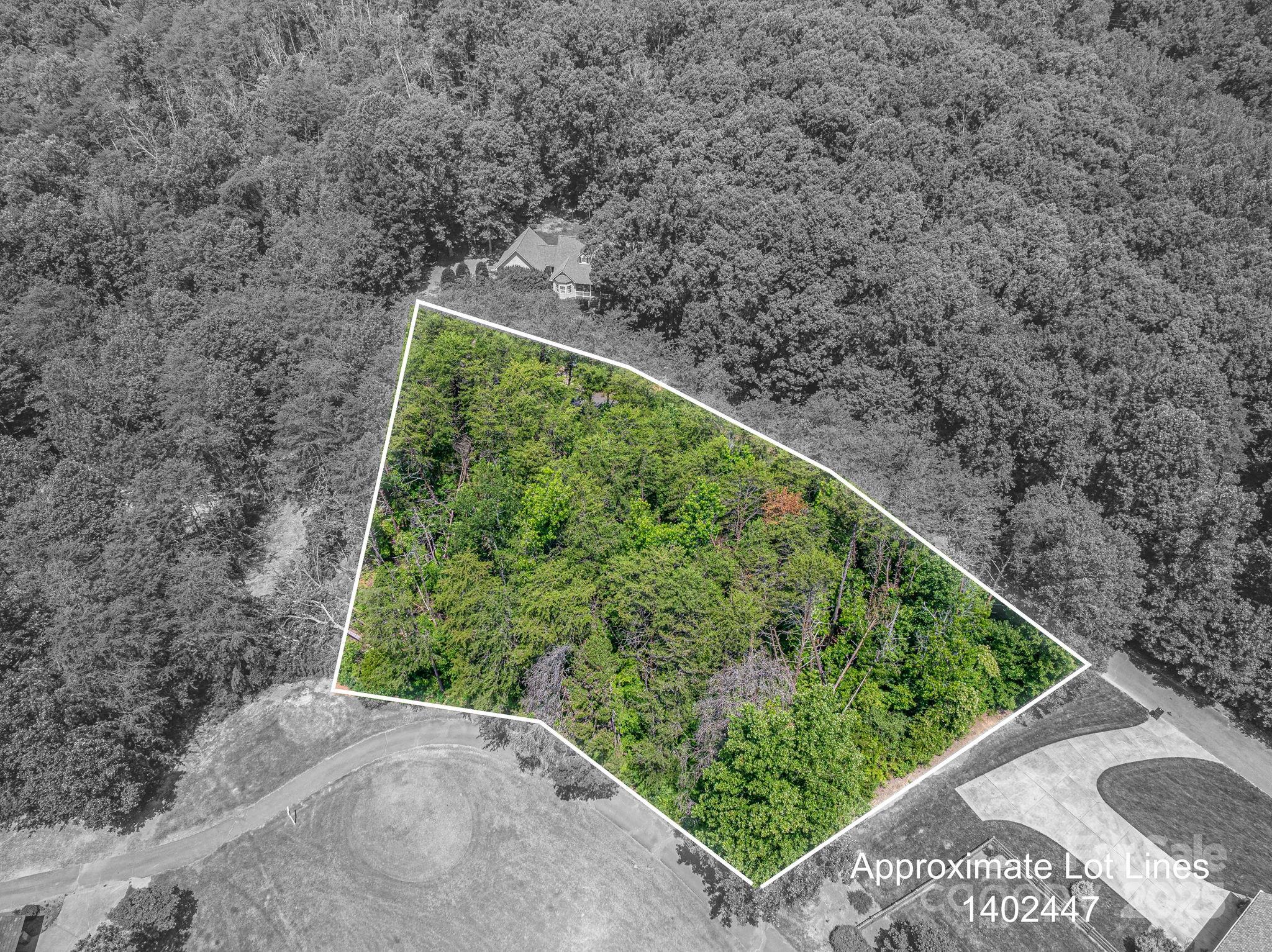 0 Washburn Lane Rutherfordton, NC 28139 - Photo 11 of 45