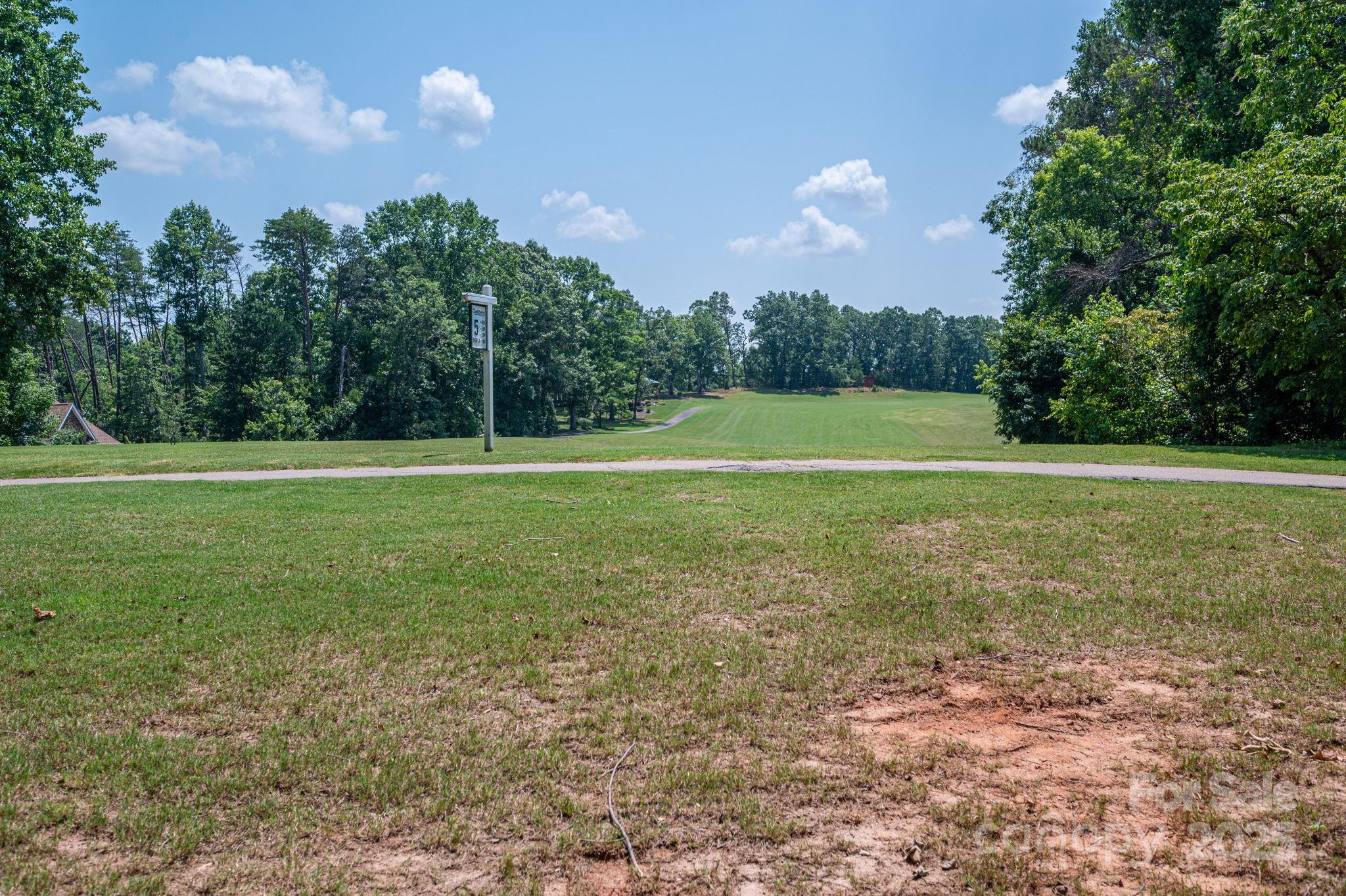 0 Washburn Lane Rutherfordton, NC 28139 - Photo 14 of 45