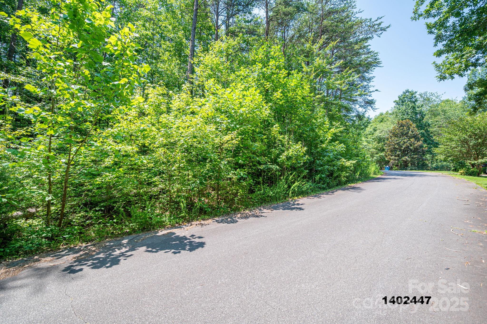 0 Washburn Lane Rutherfordton, NC 28139 - Photo 15 of 45