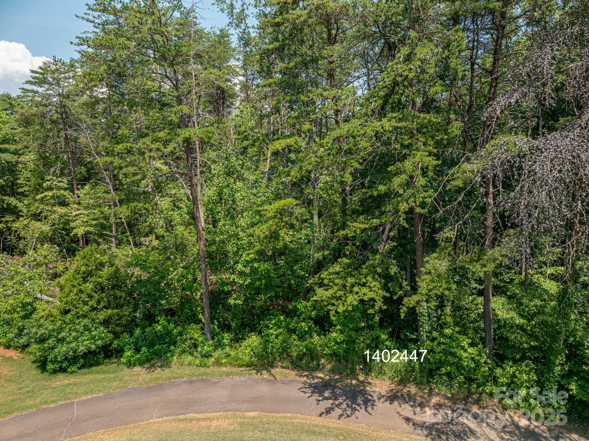 0 Washburn Lane Rutherfordton, NC 28139 - Photo 20 of 45