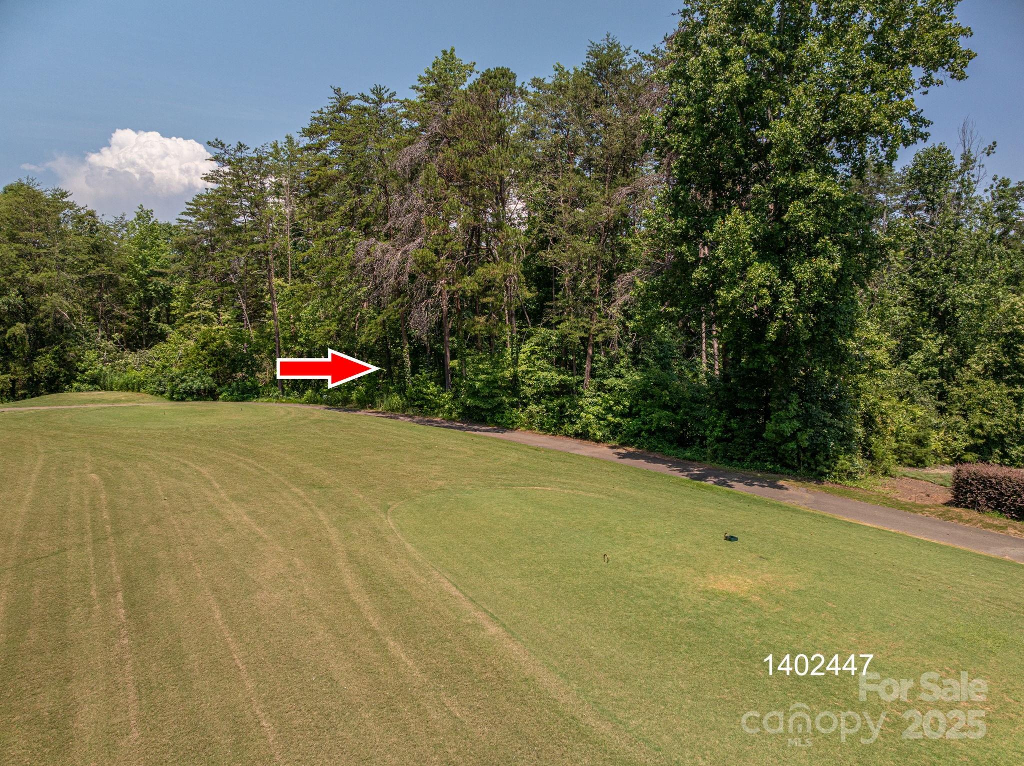 0 Washburn Lane Rutherfordton, NC 28139 - Photo 21 of 45