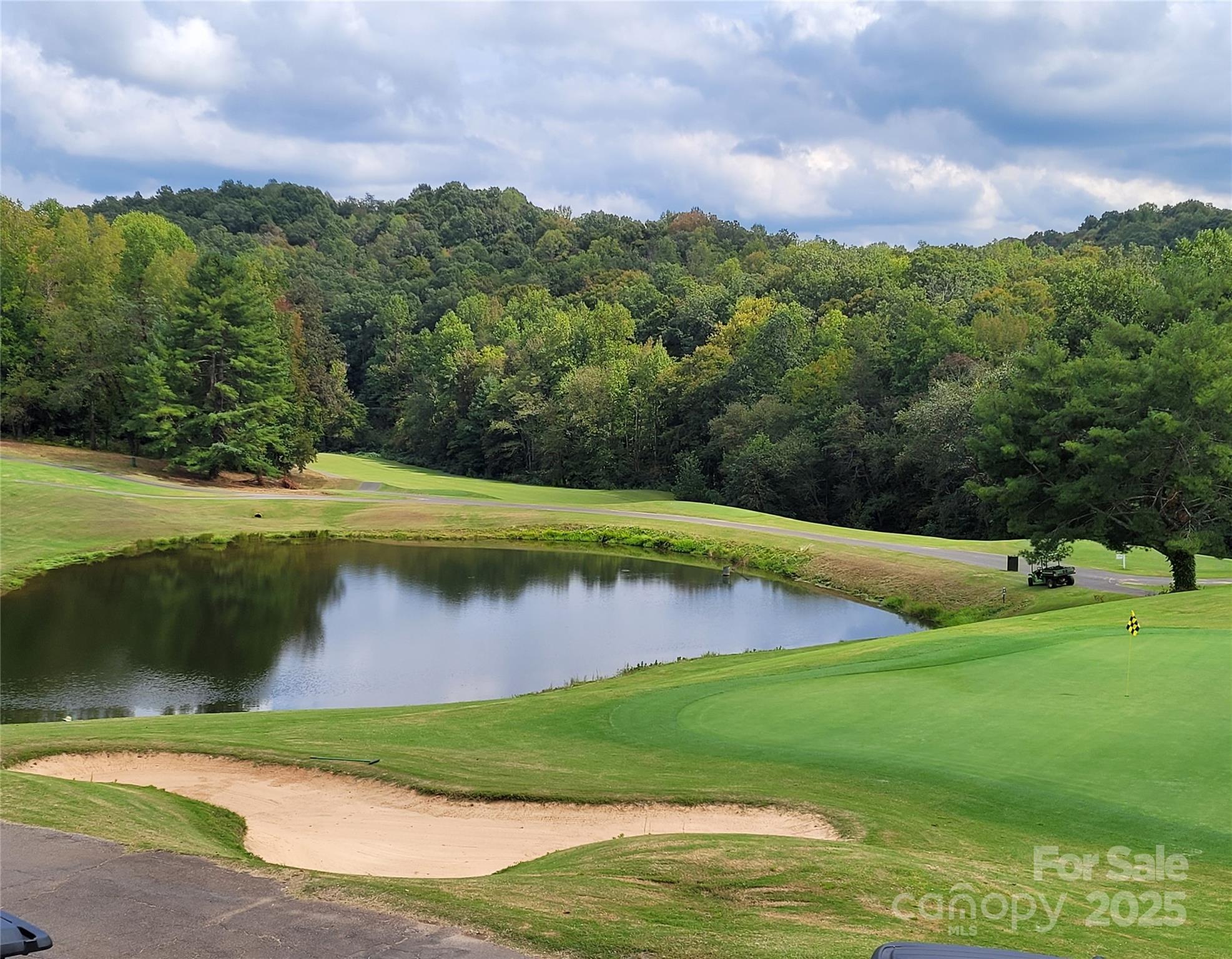 0 Washburn Lane Rutherfordton, NC 28139 - Photo 25 of 45