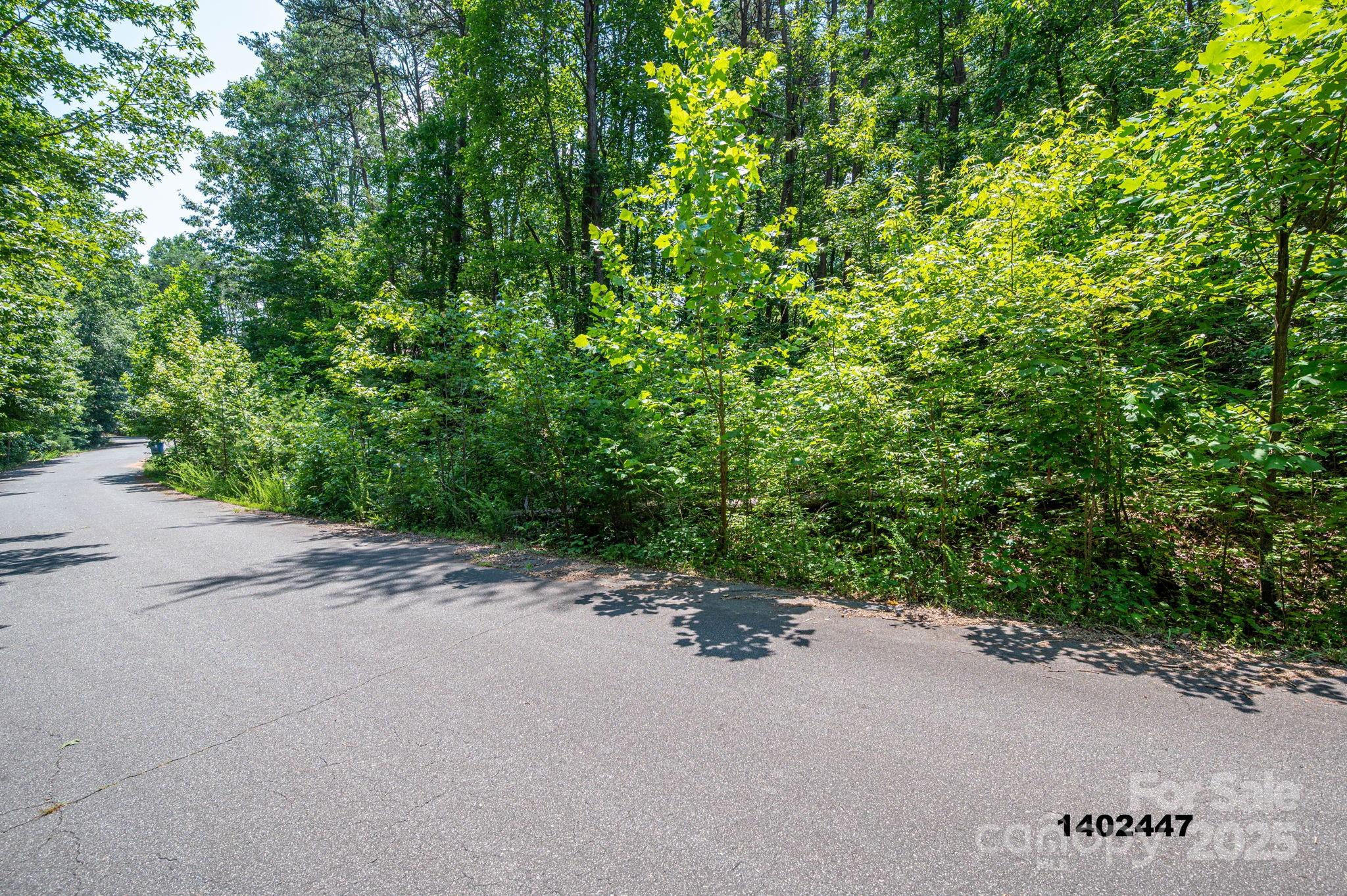 0 Washburn Lane Rutherfordton, NC 28139 - Photo 29 of 45