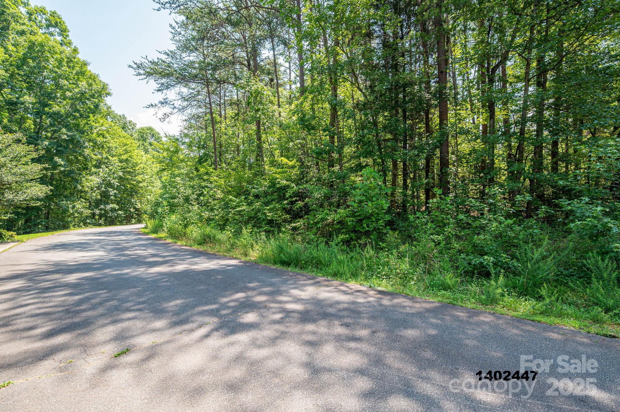 0 Washburn Lane Rutherfordton, NC 28139 - Photo 30 of 45