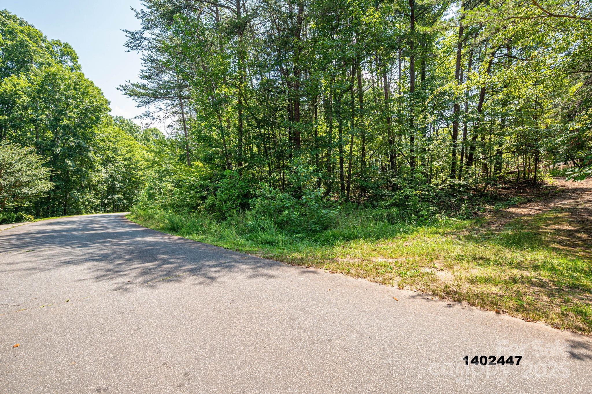 0 Washburn Lane Rutherfordton, NC 28139 - Photo 31 of 45