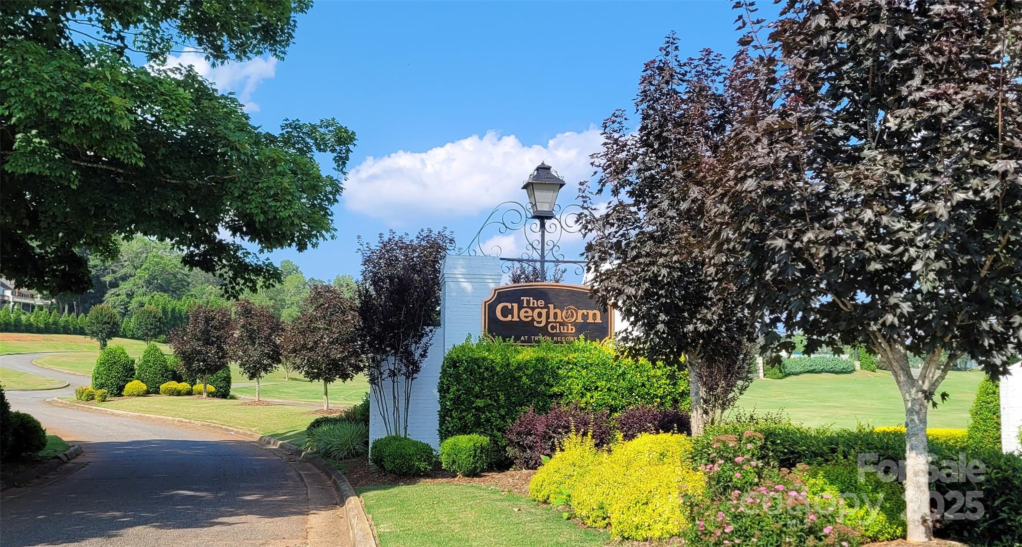 0 Washburn Lane Rutherfordton, NC 28139 - Photo 7 of 45