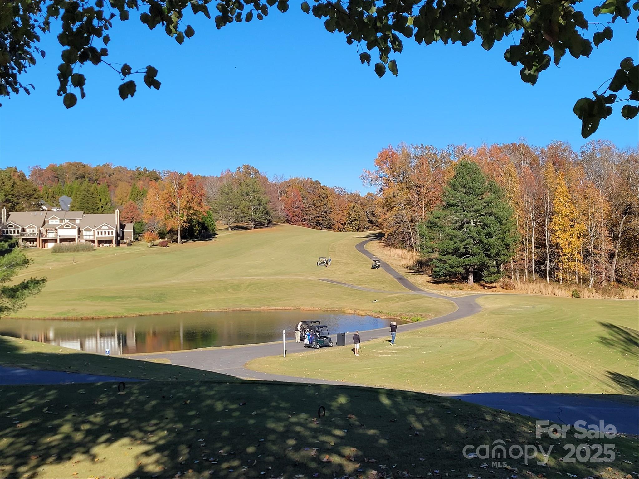 0 Washburn Lane Rutherfordton, NC 28139 - Photo 8 of 45