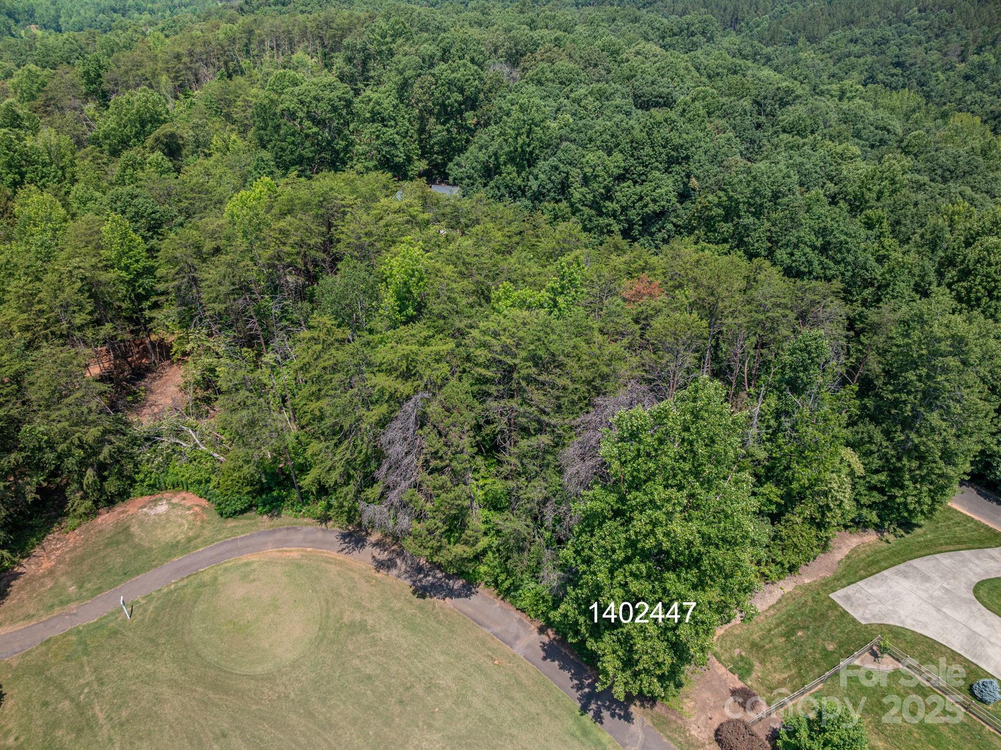 0 Washburn Lane Rutherfordton, NC 28139 - Photo 10 of 45