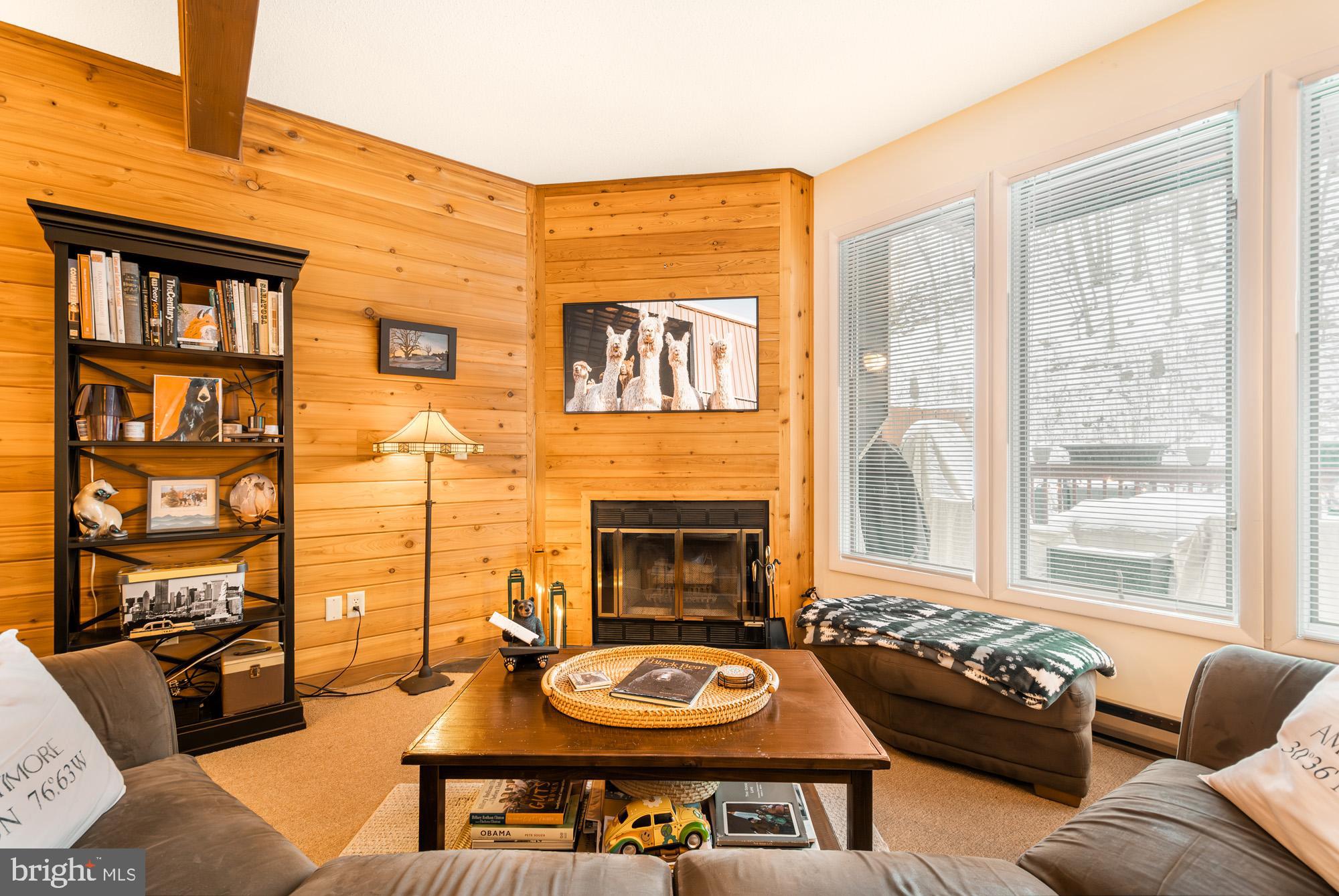 6 Winding Way, Unit 19C McHenry, MD 21541 - Photo 13 of 62 a living room with furniture and a fireplace