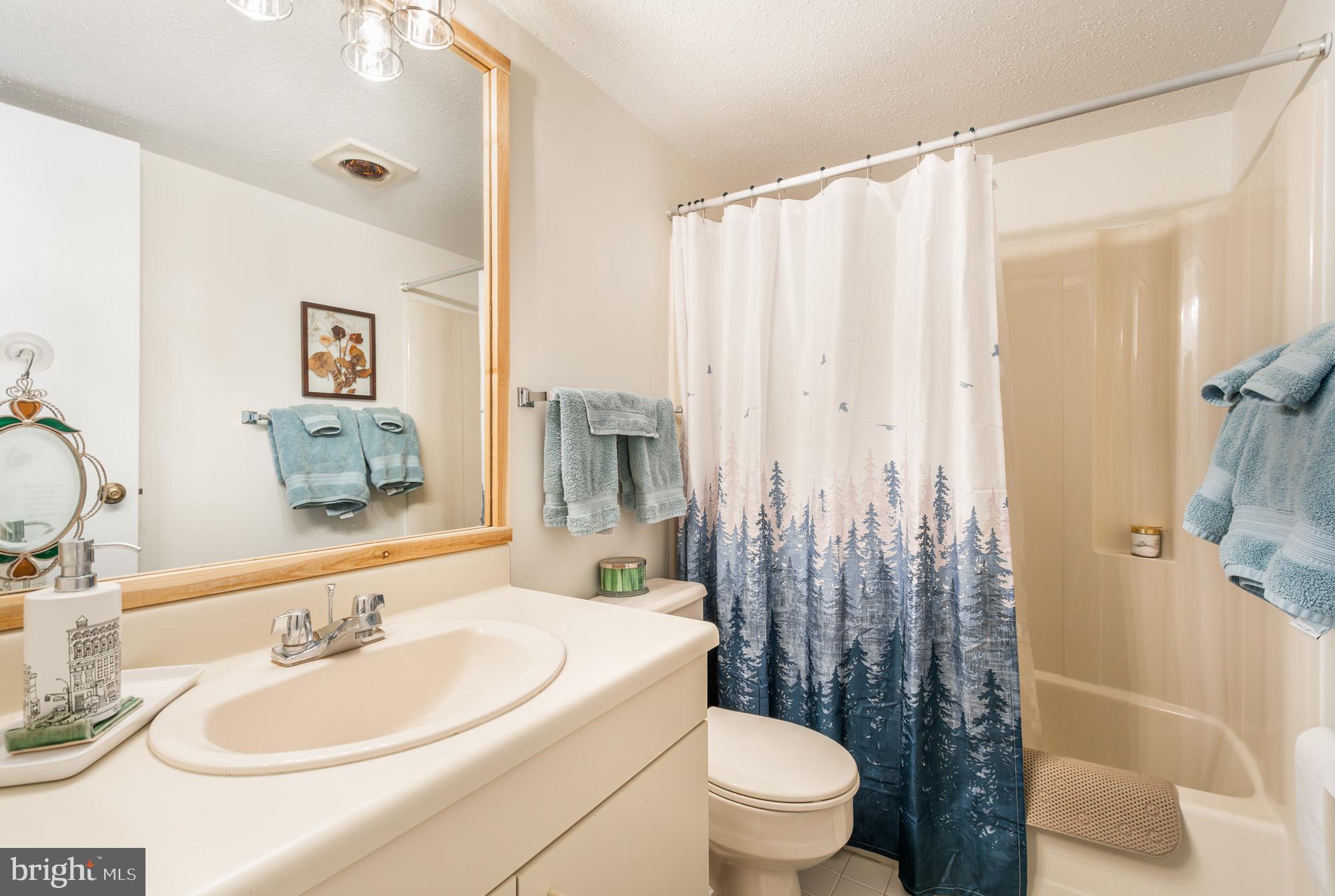 6 Winding Way, Unit 19C McHenry, MD 21541 - Photo 23 of 62 a bathroom with a sink a toilet and a large mirror