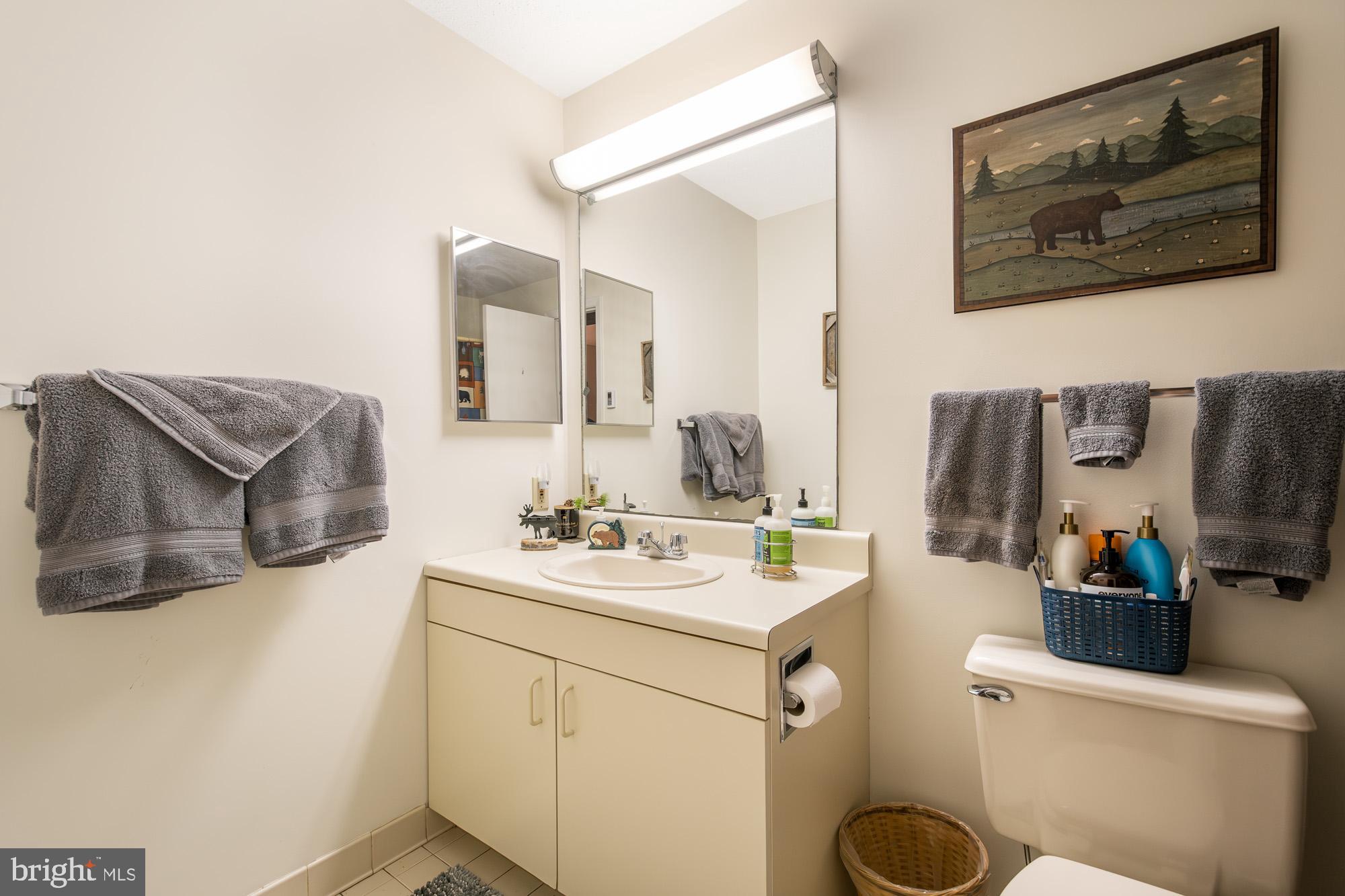 6 Winding Way, Unit 19C McHenry, MD 21541 - Photo 42 of 62 a bathroom with a sink a toilet and mirror