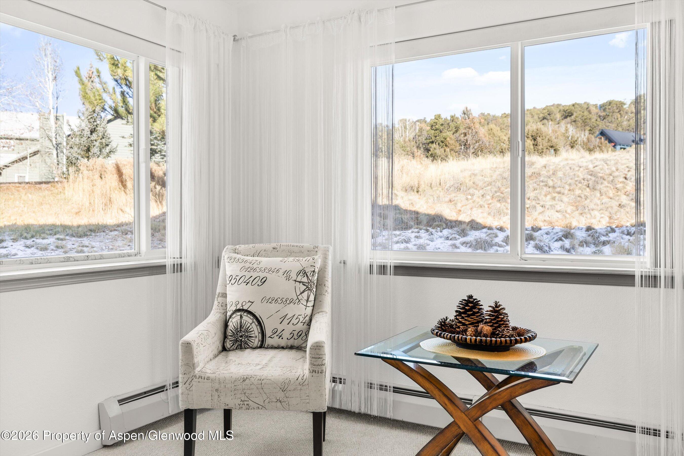 1 Pine Ridge Road Basalt, CO 81621 - Photo 22 of 32 a living room with furniture and a window