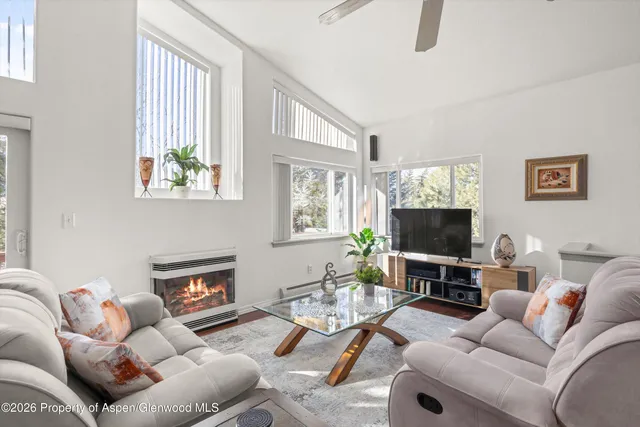 a living room with furniture a flat screen tv and a fireplace