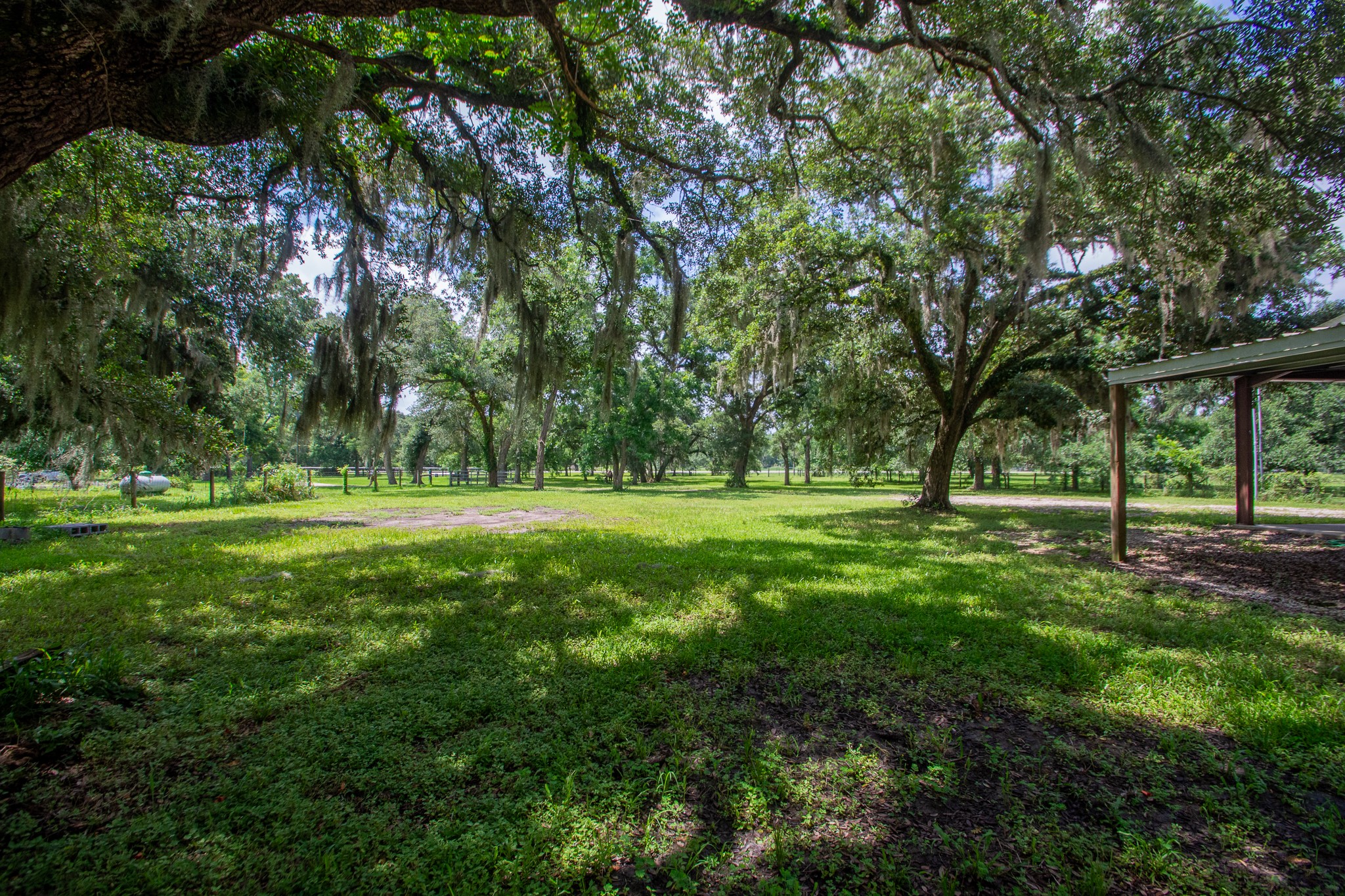 2668 FM 522 Road Brazoria, TX 77422 - Photo 7 of 17