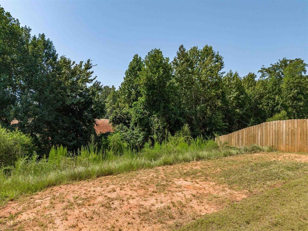 2178 Southlea Drive Inman, SC 29349 - Photo 32 of 35