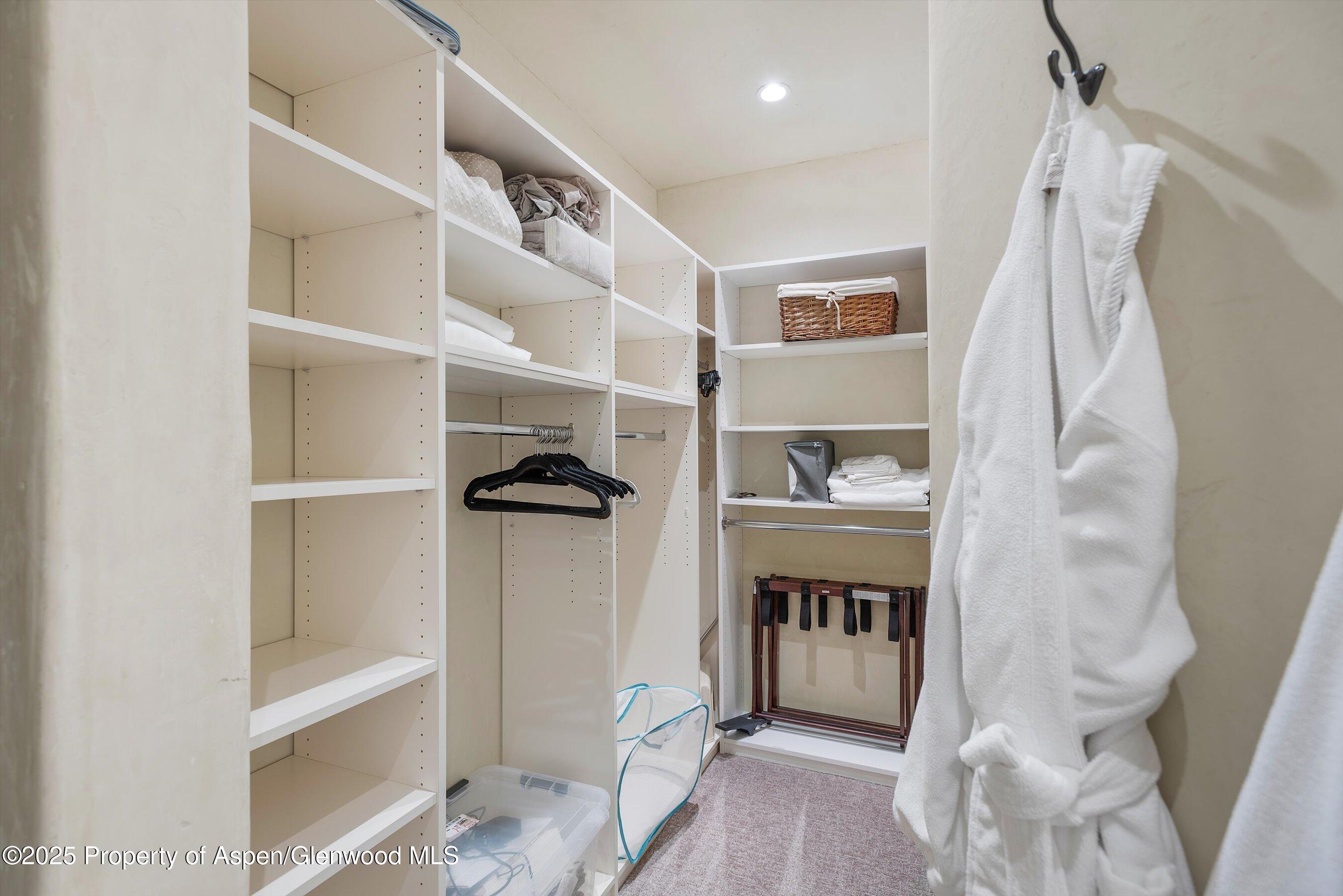 202 Ridge Road Basalt, CO 81621 - Photo 35 of 74 Closet