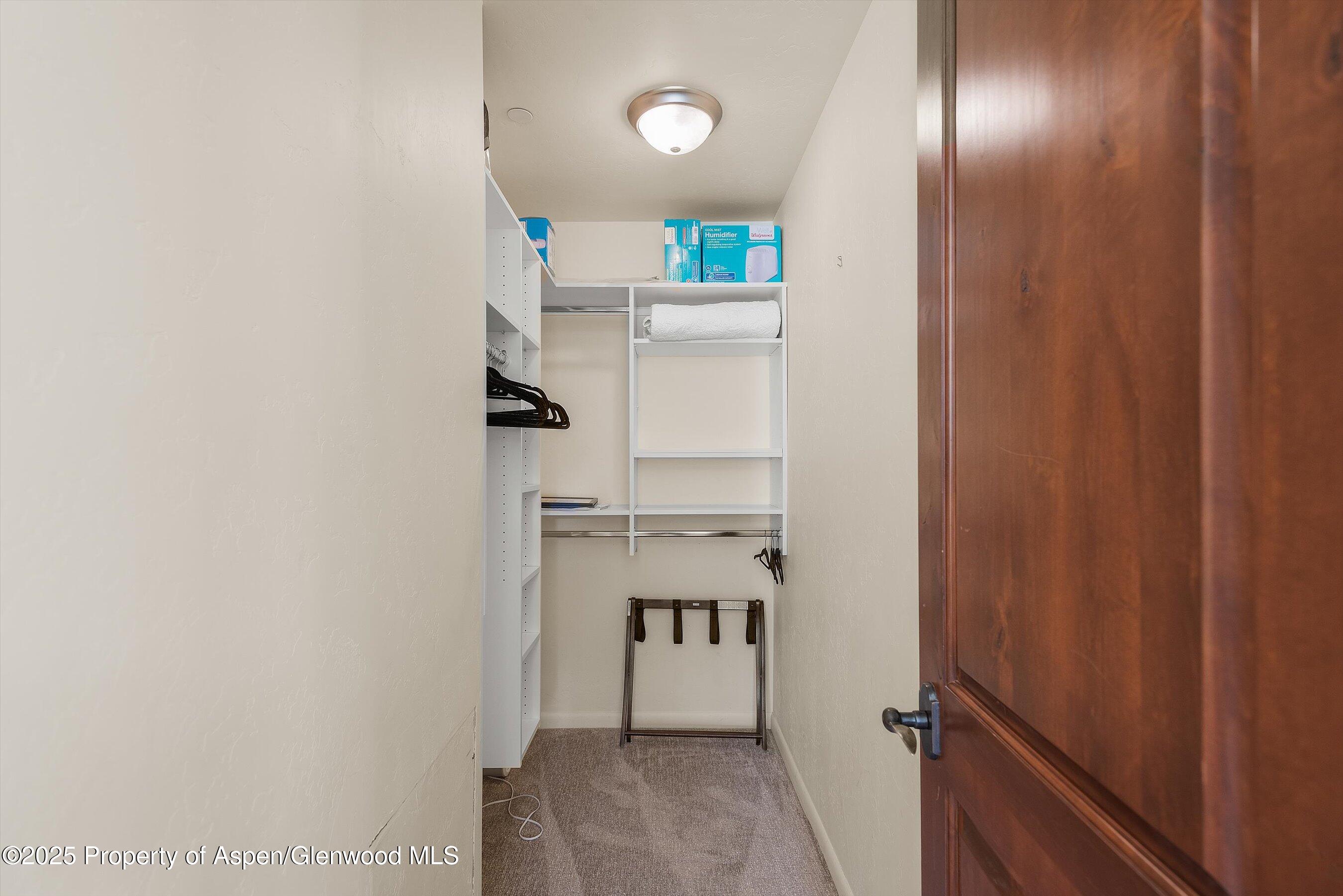 202 Ridge Road Basalt, CO 81621 - Photo 48 of 74 Closet