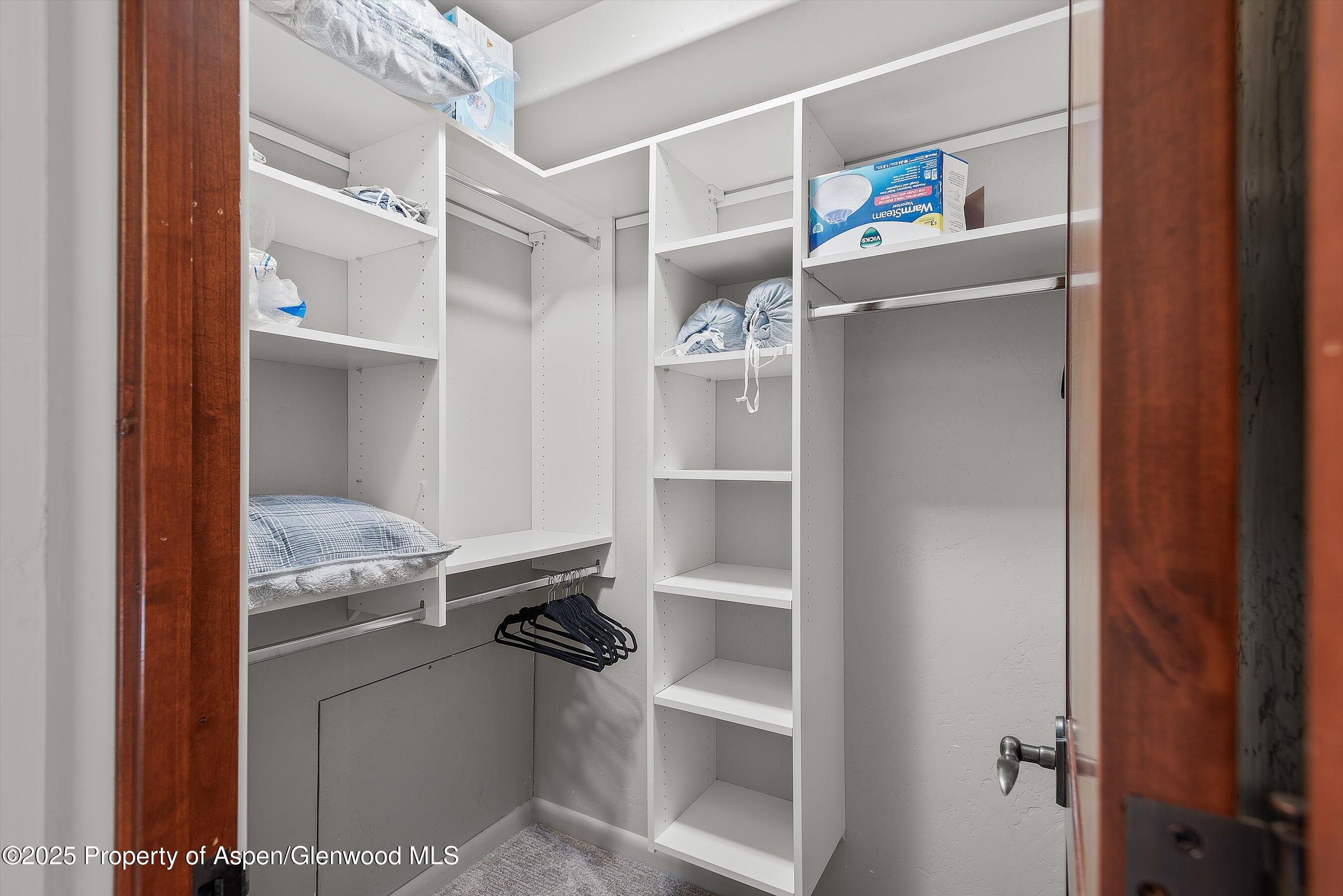 202 Ridge Road Basalt, CO 81621 - Photo 54 of 74 Closet