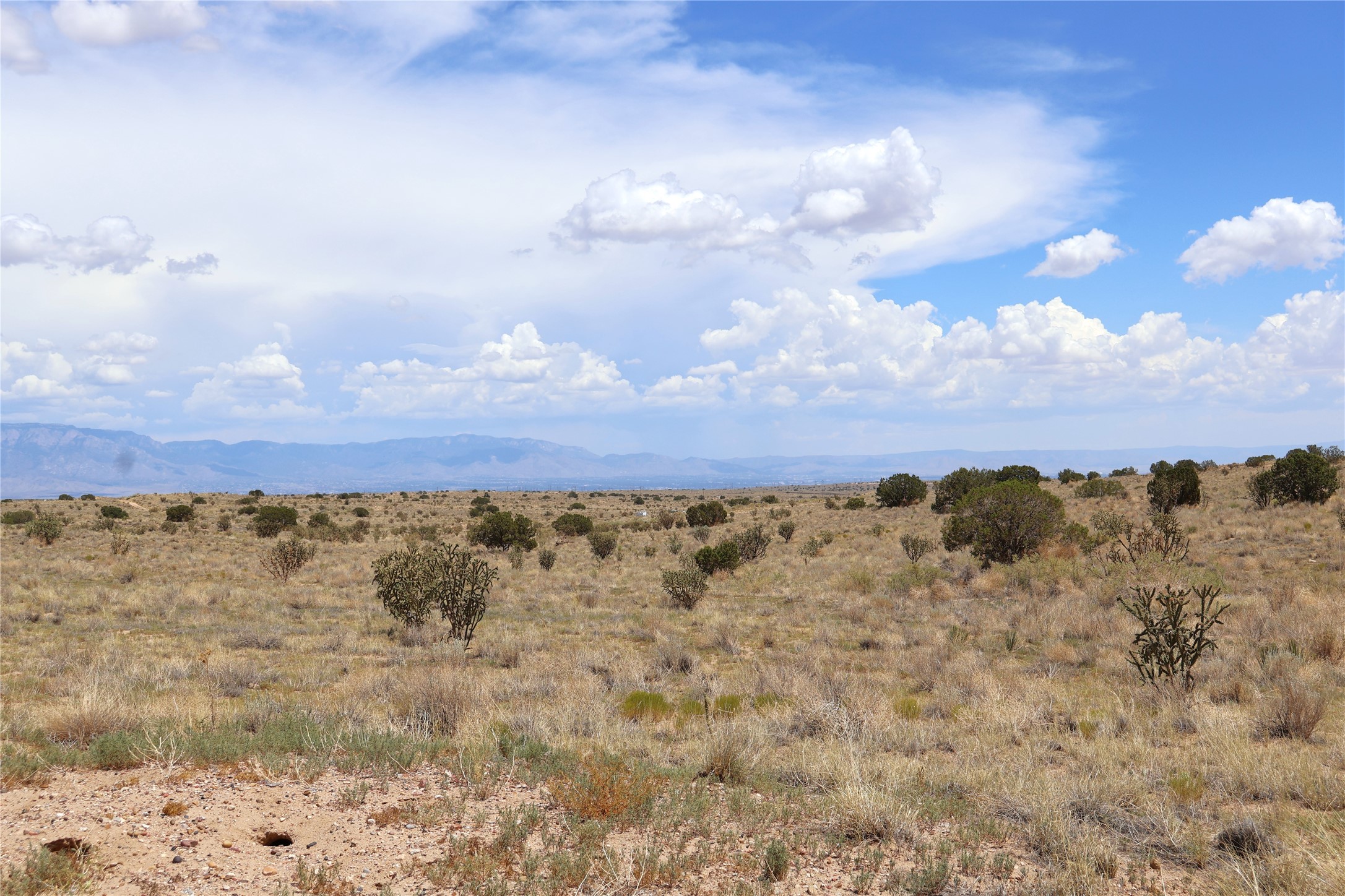 Rio Rancho Estates Rio Rancho Estates Southwest Rio Rancho, NM 87124 - Photo 1 of 6