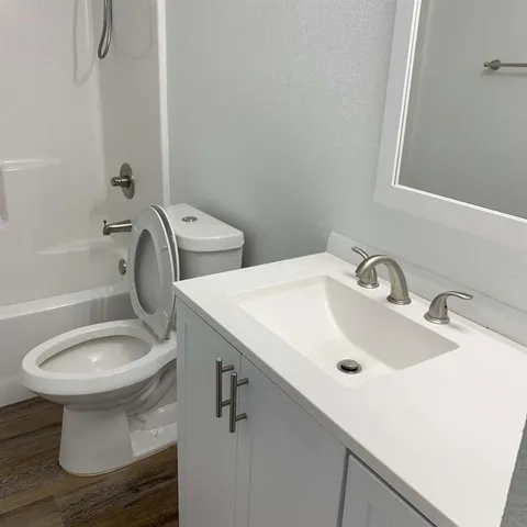 a bathroom with a sink and a toilet