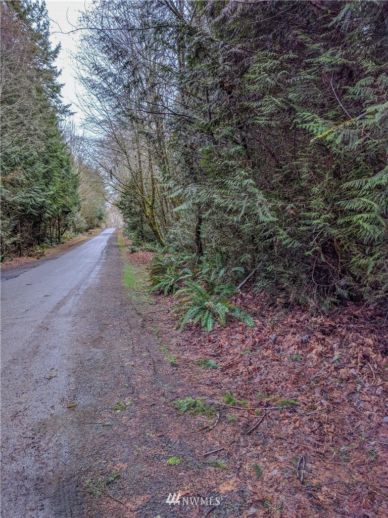 -xx30 East Jared Road Shelton, WA 98584 - Photo 3 of 7 Gallery Image 3