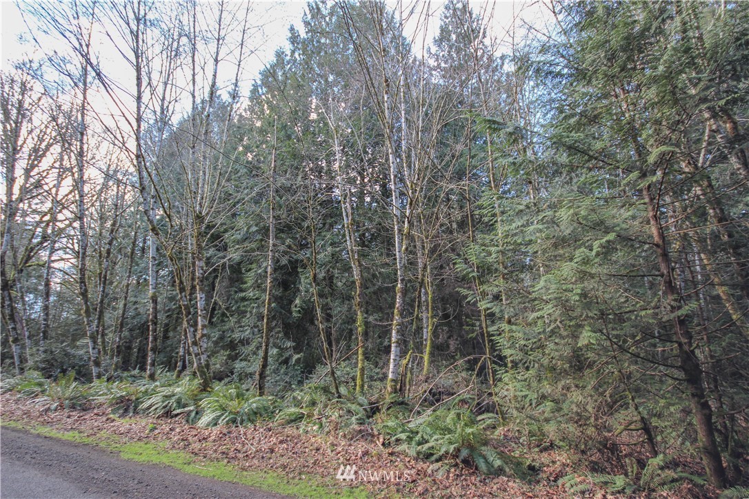 -xx30 East Jared Road Shelton, WA 98584 - Photo 4 of 7 Gallery Image 4