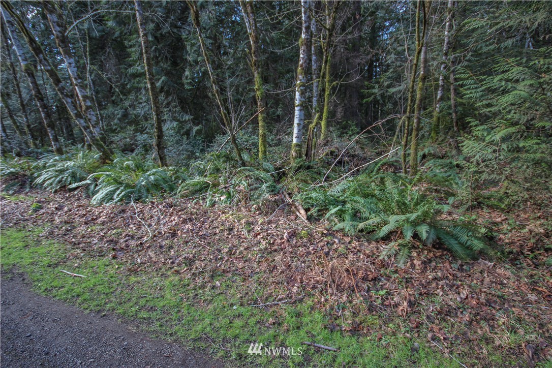 -xx30 East Jared Road Shelton, WA 98584 - Photo 5 of 7 Gallery Image 5