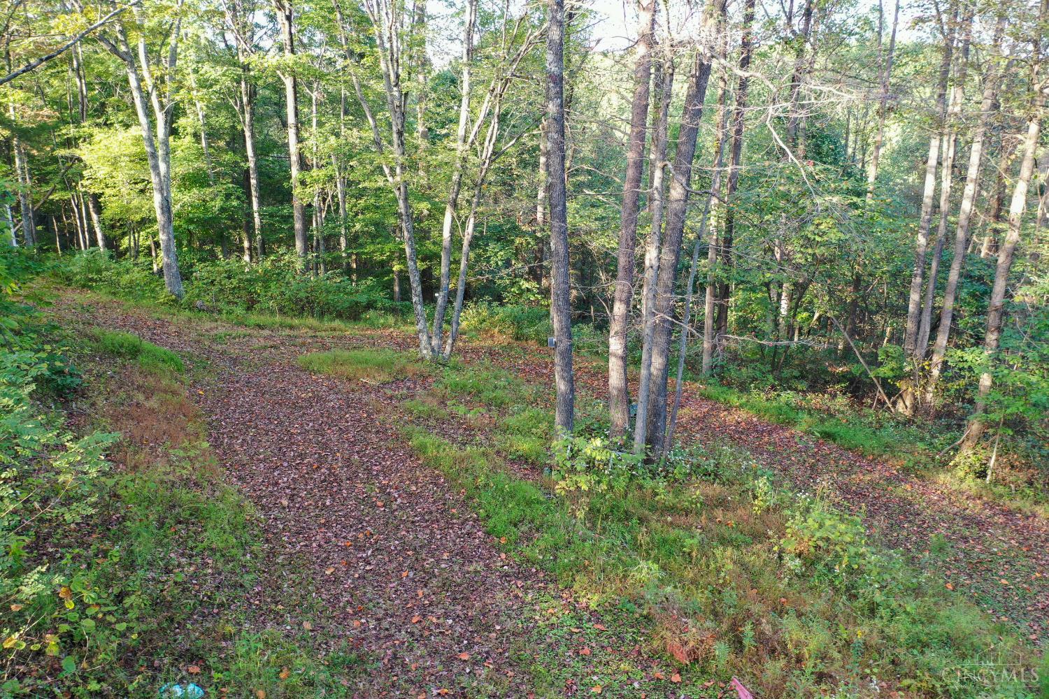 1285 Nelson Road Lucasville, OH 45648 - Photo 8 of 17