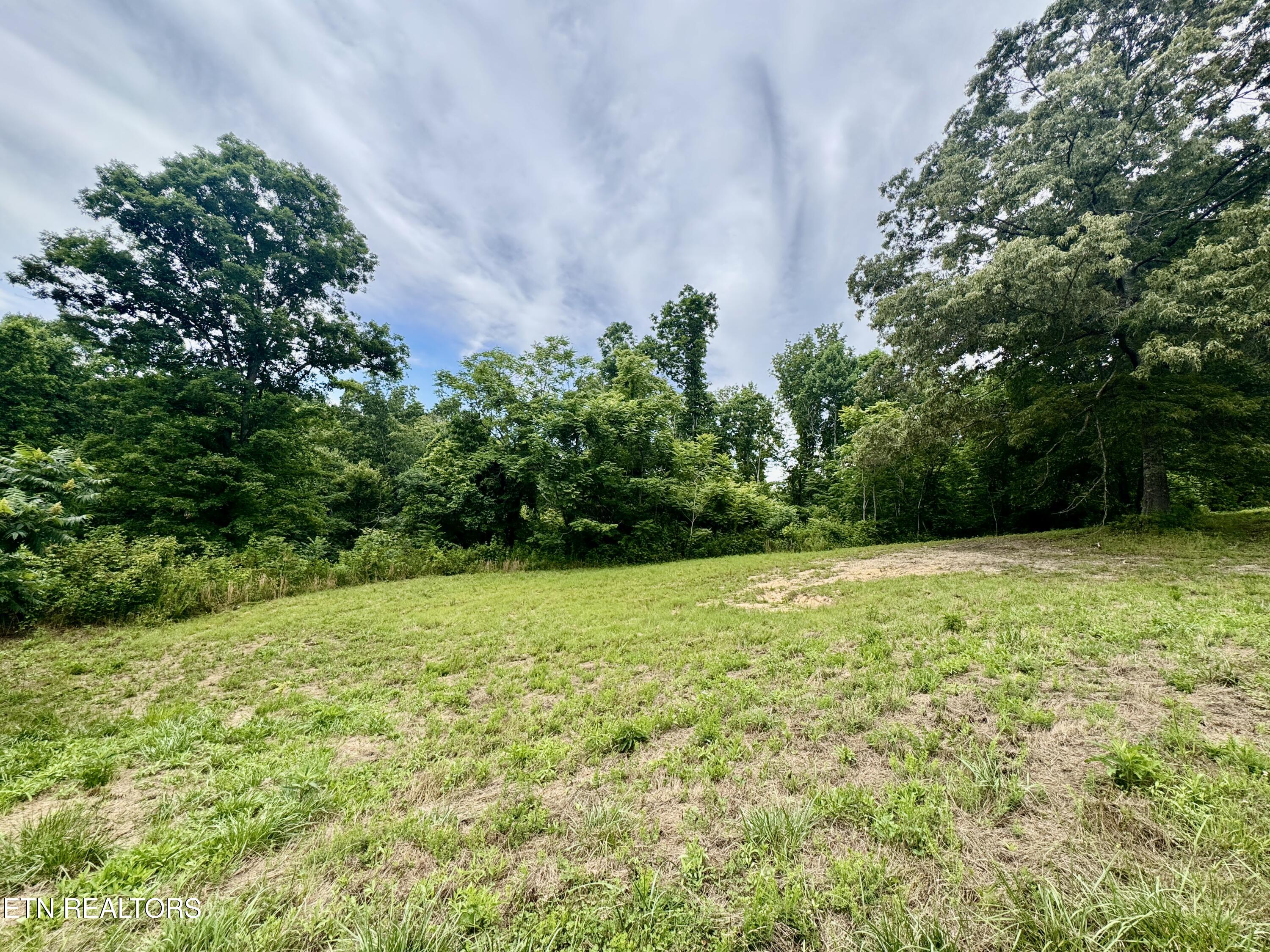 378 Johnson Hollow Road New Tazewell, TN 37825 - Photo 12 of 35 1-12