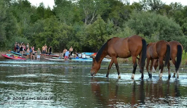 $10,000 | 5415 East McKellips Road, Unit 94, Mesa, AZ 85215