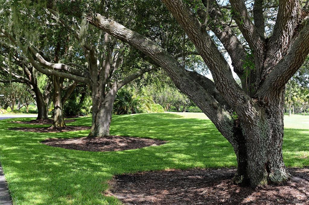 401 North Point Road, Unit 303 Osprey, FL 34229 - Photo 99 of 100 Gallery Image 99