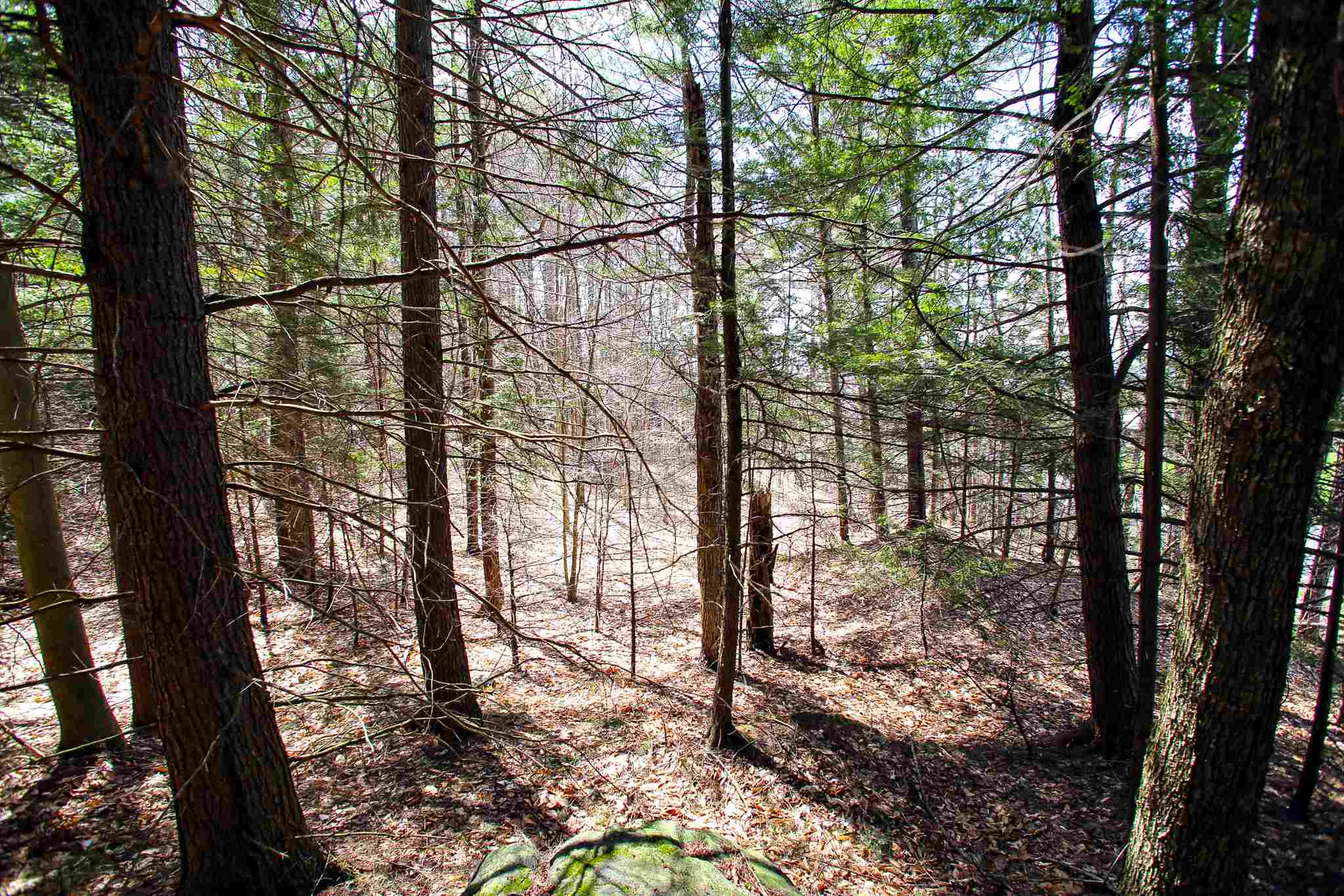 2450 Chelsea Mountain Road Randolph Center, VT 05061 - Photo 22 of 32