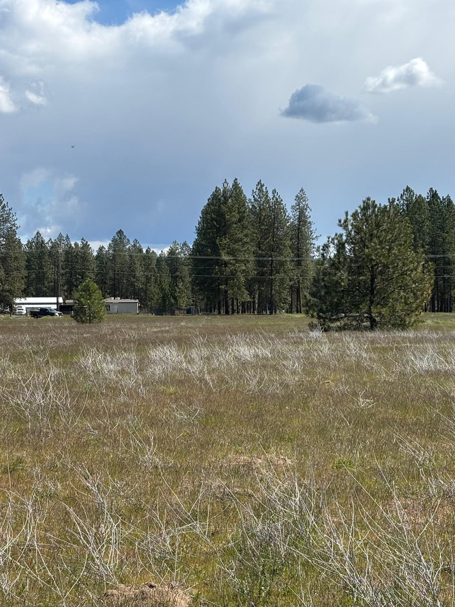 0 North Yale Road Colbert, WA 99005 - Photo 9 of 29
