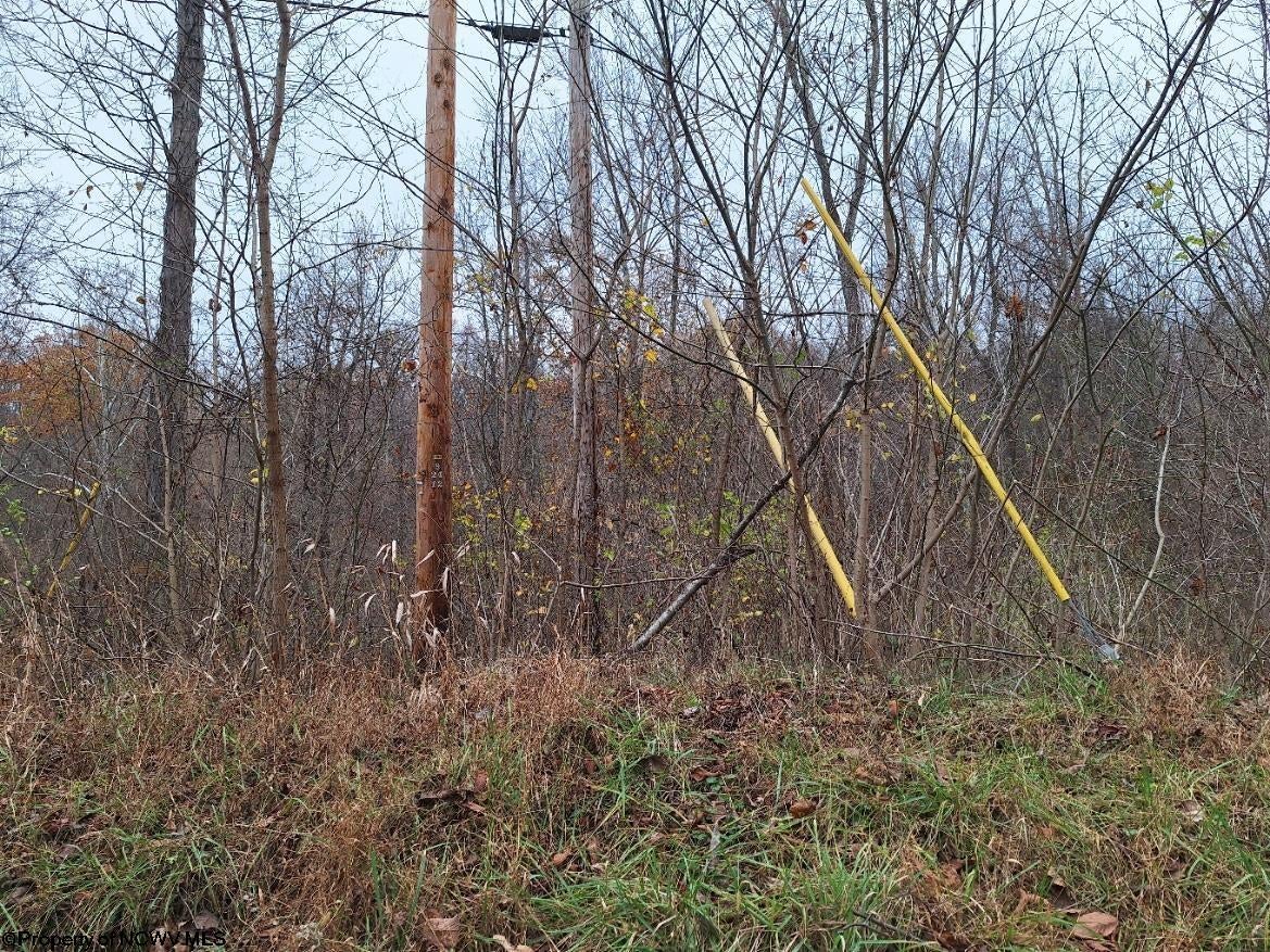 Tbd Jack Run Road Bridgeport, WV 26330 - Photo 18 of 19 Gallery Image 18