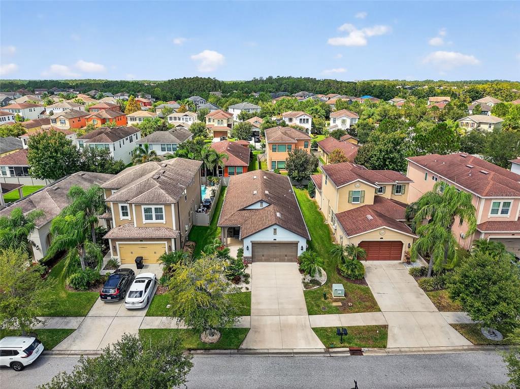29241 Perilli Place Wesley Chapel, FL 33543 - Photo 38 of 53 an aerial view of residential houses with outdoor space and street view